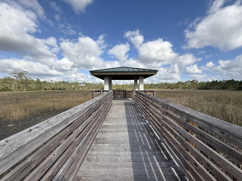 Royal Palm Beach Pines Natural Area - Image 3