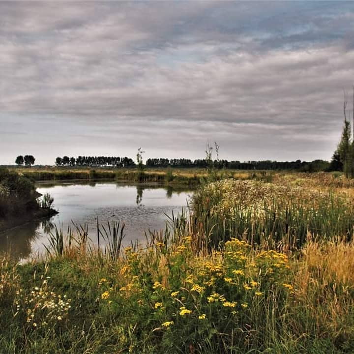 Park Lingezegen - Waterrijk - Image 1