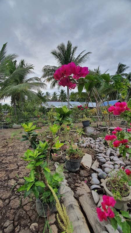 Taman Kamboja - Image 2