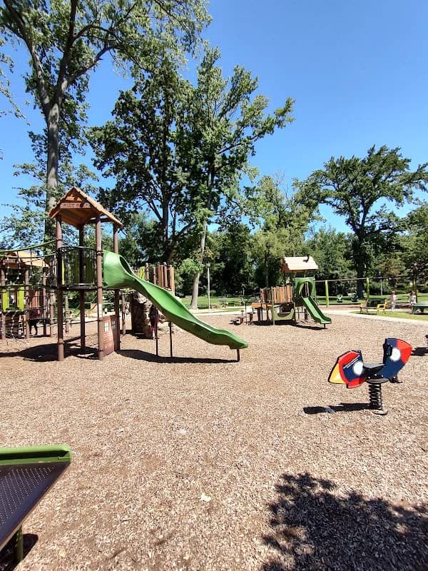 Turtle Park - Image 4