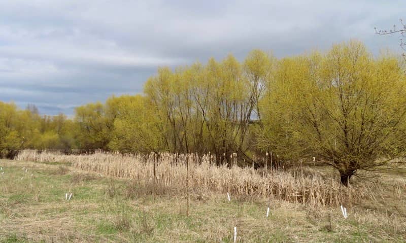 North Vernon Park - Image 2