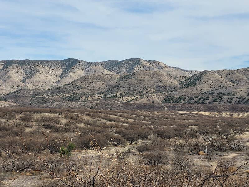 Borderlands Wildlife Preserve - Image 1