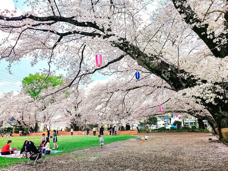 Asahigaoka Central Park - Image 1
