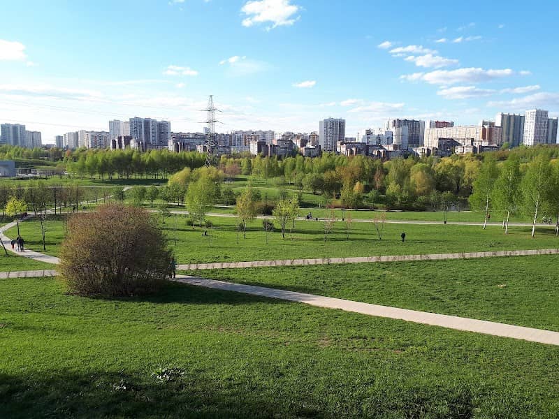 Mitino landscape park - Image 2