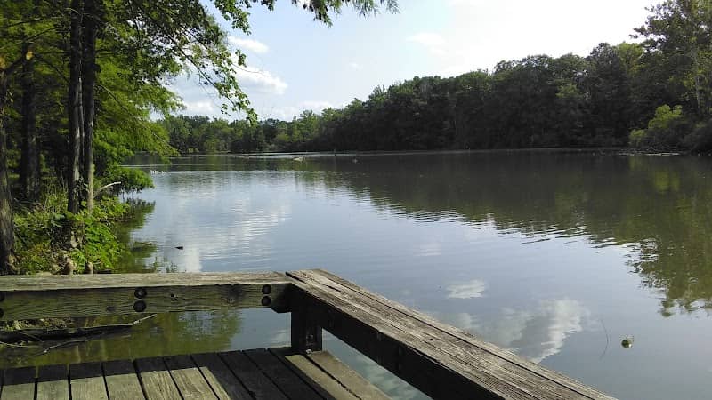 Springwood Park - Image 3