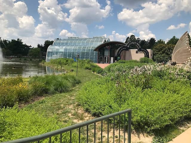 Sophia M. Sachs Butterfly House - Image 2