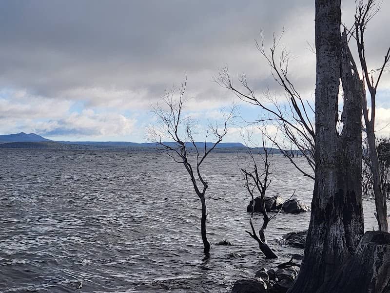 Arthurs Lake Subsidiary Dam - Image 1