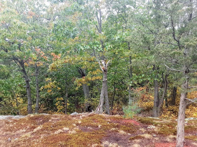 Eagles Hill - Image 1