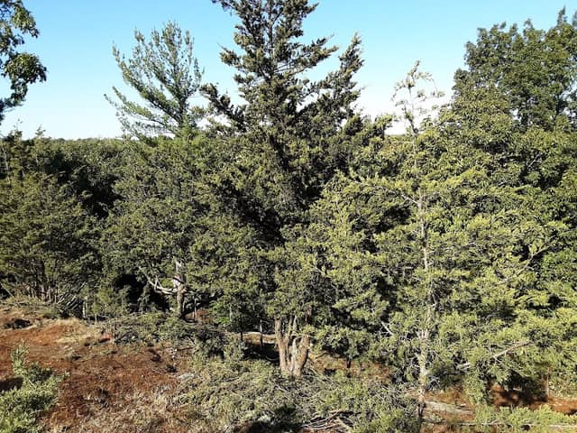 Eagles Hill - Image 2
