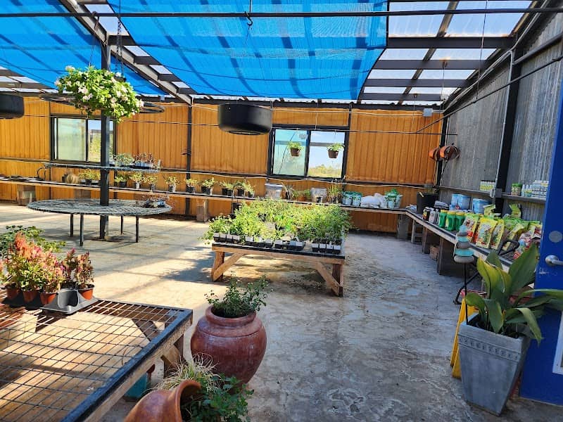 Down to Earth Nursery - Image 2