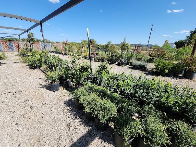 Down to Earth Nursery - Image 3