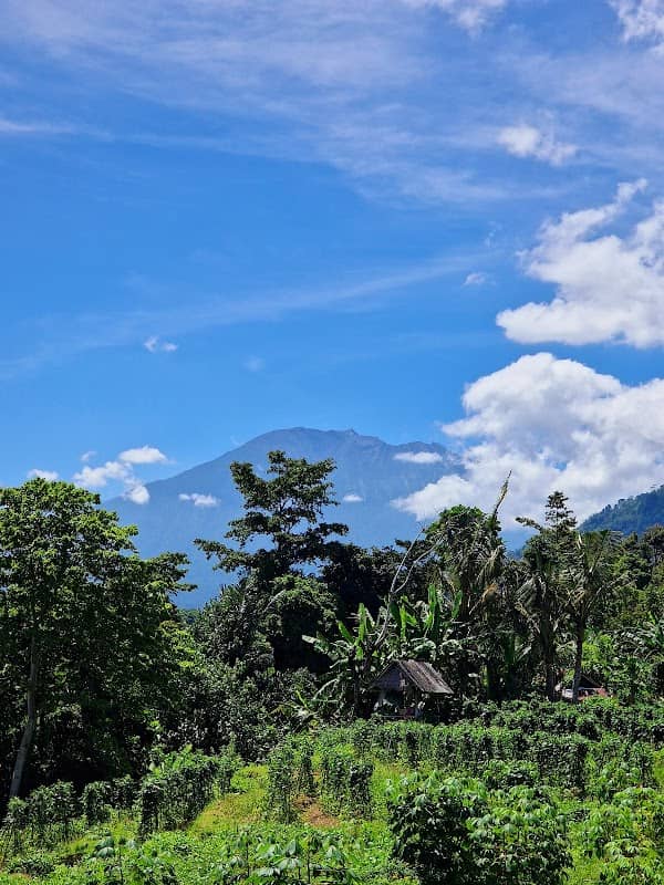 Sideman Ricefield viewpoint - Image 1