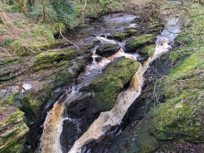 Ness Country Park - Image 1