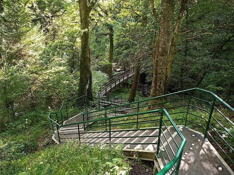 Ness Country Park - Image 2