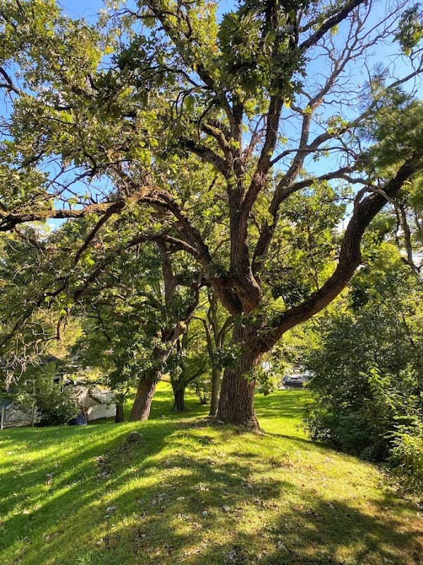 White Oaks Bay Nature Park - Image 2