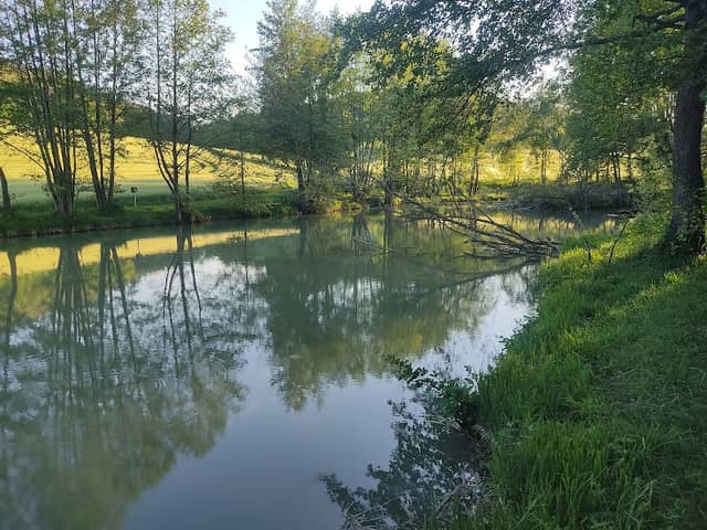 Sallensee Unterschüpf - Image 1