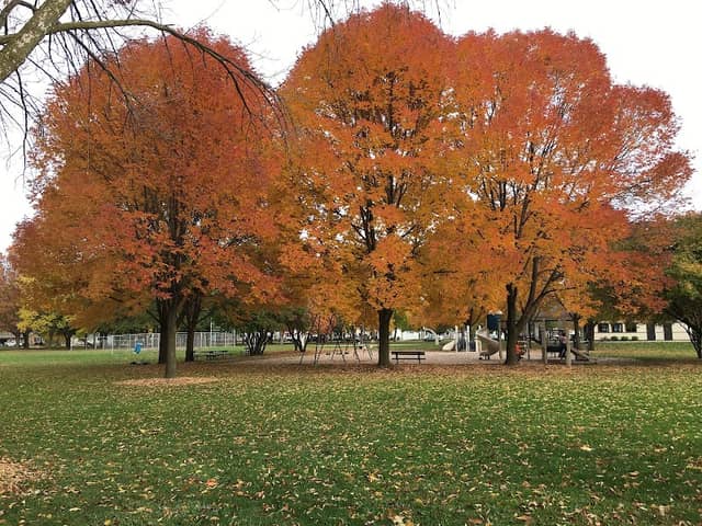 Mather Heights Park - Image 2