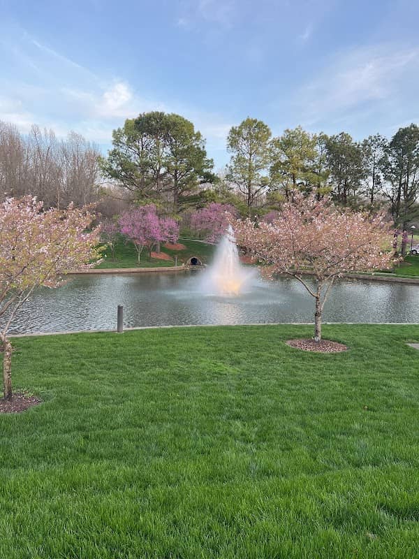 Williams Park - Image 1