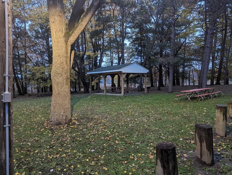 Memorial Tree Park - Image 1