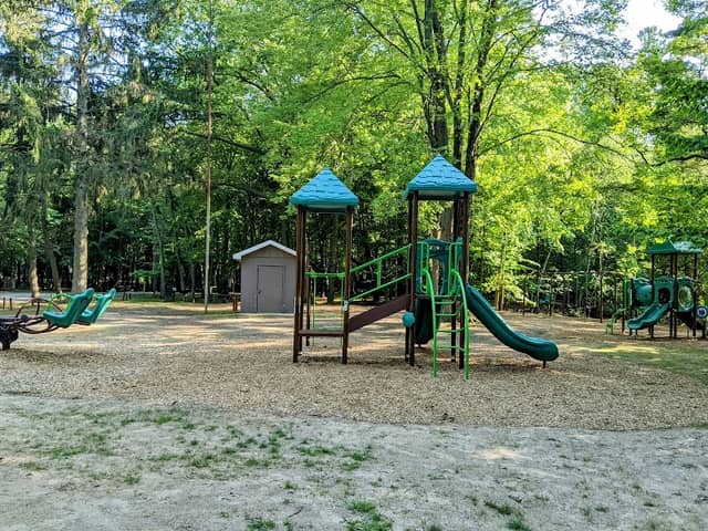 Memorial Tree Park - Image 3