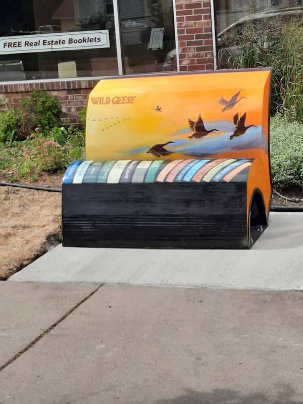 Martha Ostenso Book Bench painted by artist Rebeccah Froehlich (Artify Sauk Centre) - Image 1