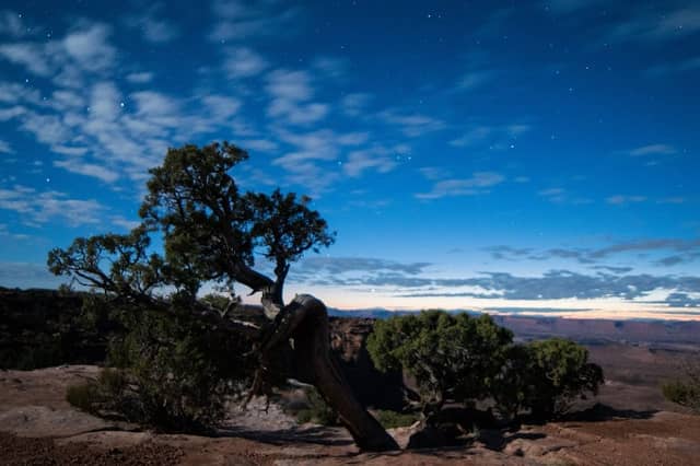 Murphy Point Overlook - Image 3