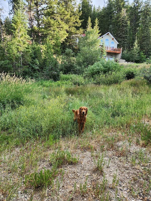 Summit Park - Image 2