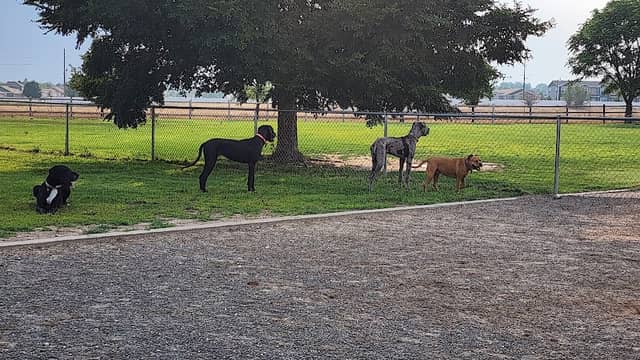 Freedom Park - Image 1