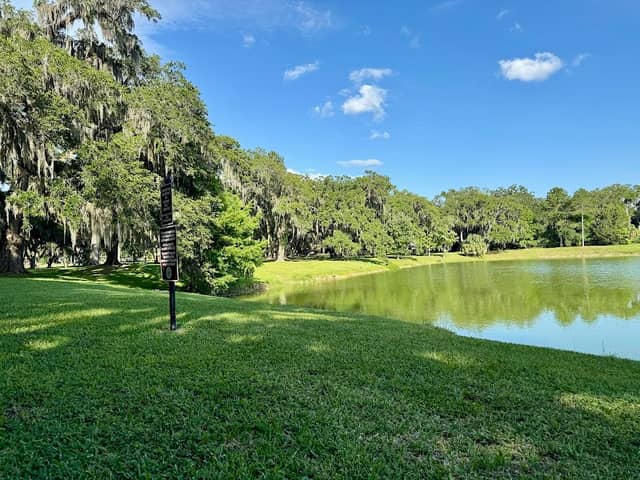 Toms Park - Image 1