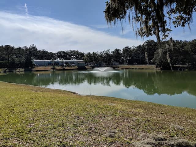 Toms Park - Image 2