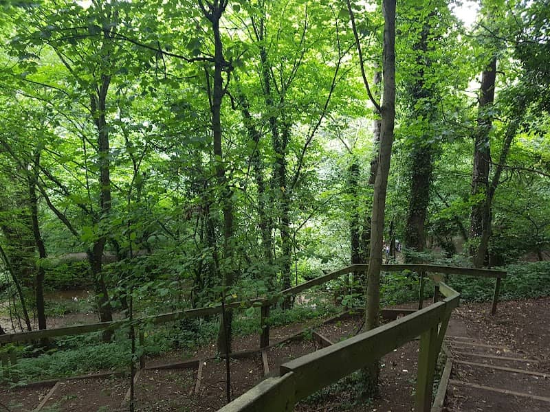 Gunnergate Wetlands - Image 1