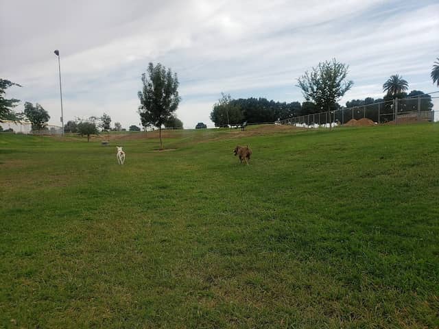 Porterville Dog Park - Image 1