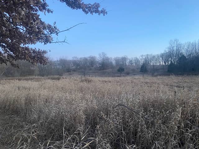 Sunnyside Park - Image 2