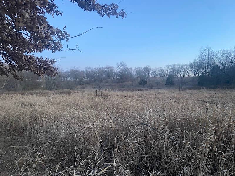 Sunnyside Park - Image 2