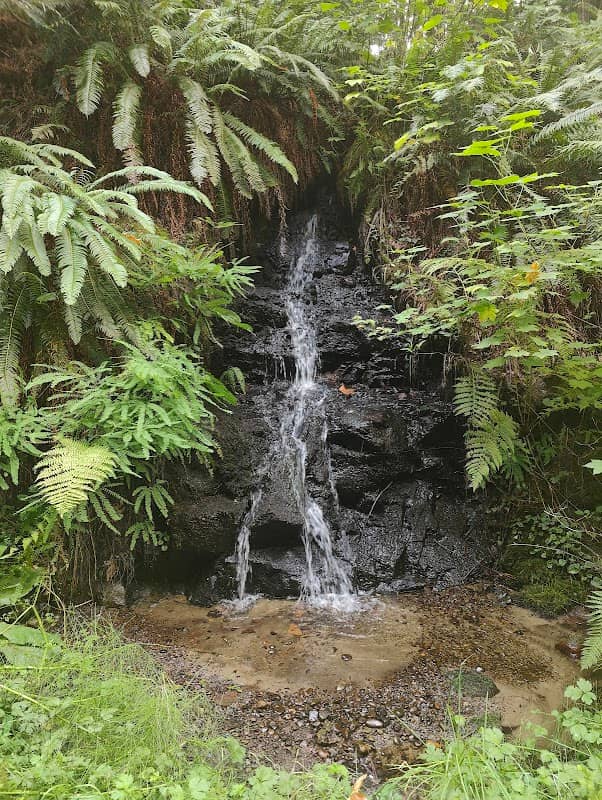 Brooklyn's waterfall - Image 1
