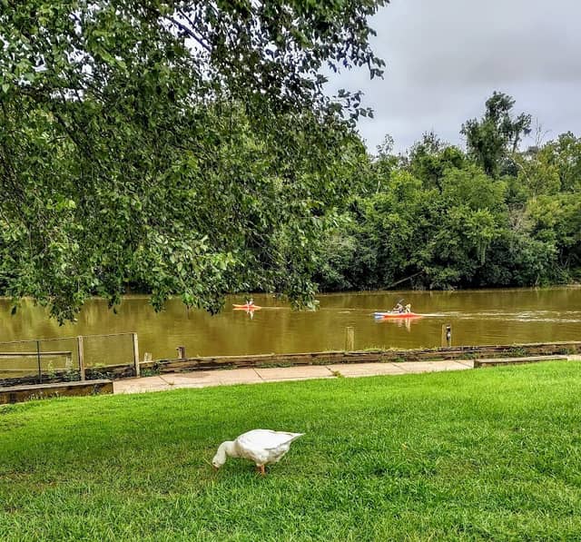 City Dock Park - Image 1