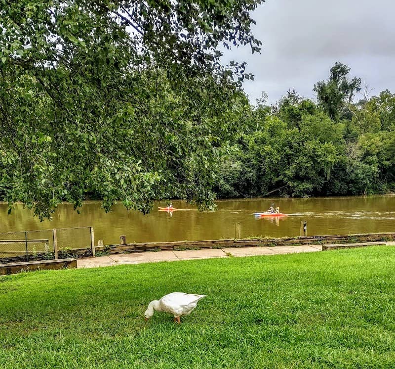 City Dock Park - Image 1
