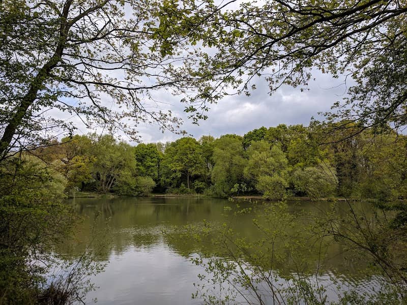 Pioneer Meadows Nature Reserve - Image 1