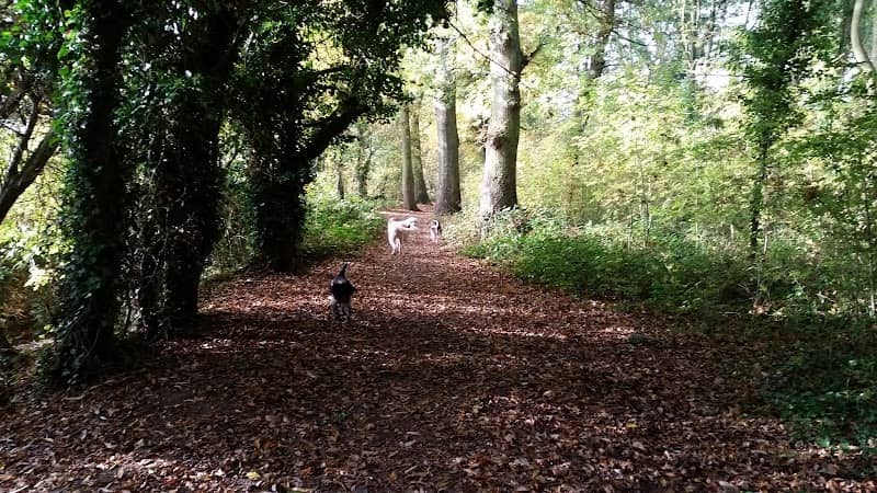 Pioneer Meadows Nature Reserve - Image 2