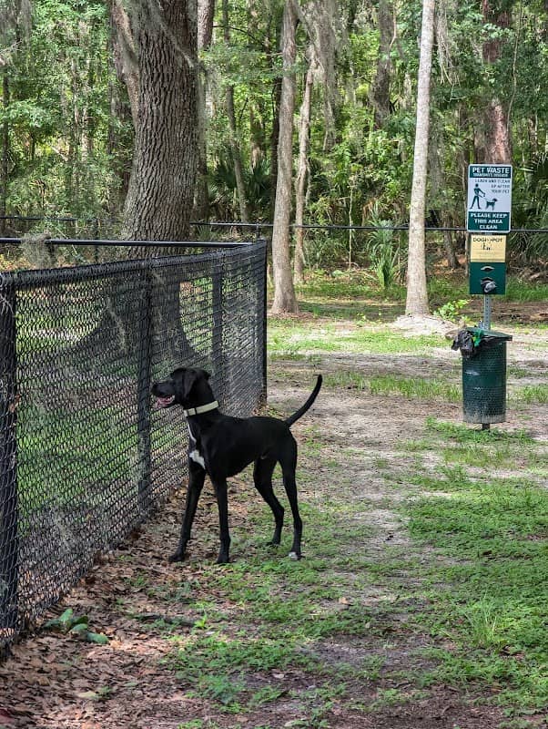 Forest Park - Image 1