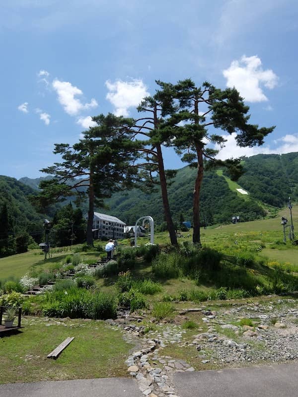 ESCAL GARDEN - Image 2