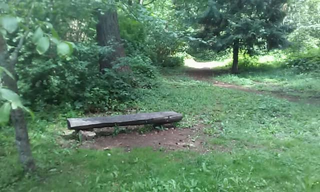Starke Natural Area - Image 2