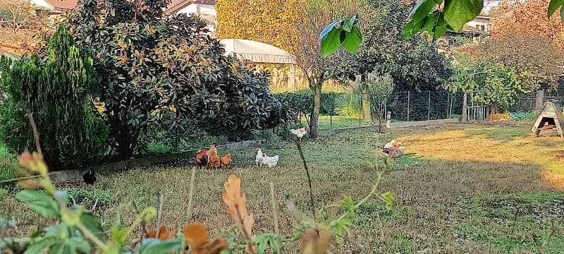Parco Comunale Enzo Ferrari - Image 2