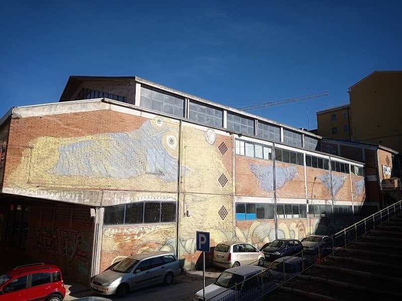 murales di Ericailcane - Image 2