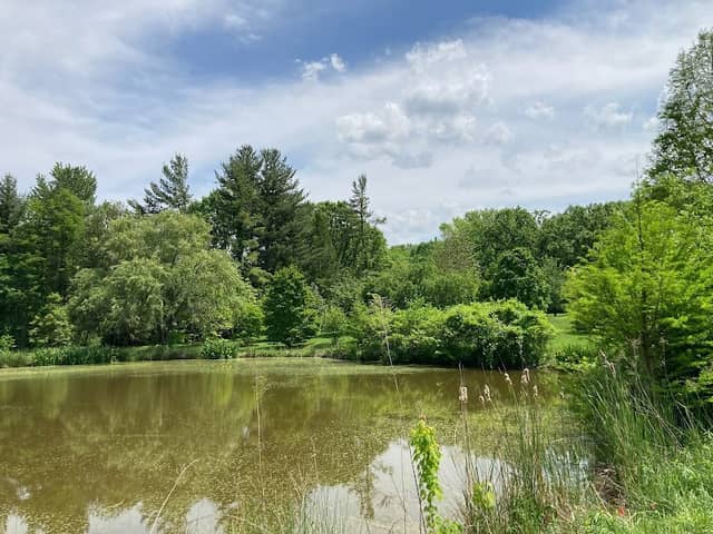 Hartman Arboretum - Image 2