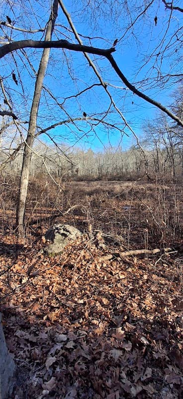 Attleboro Pond Trail - Image 2