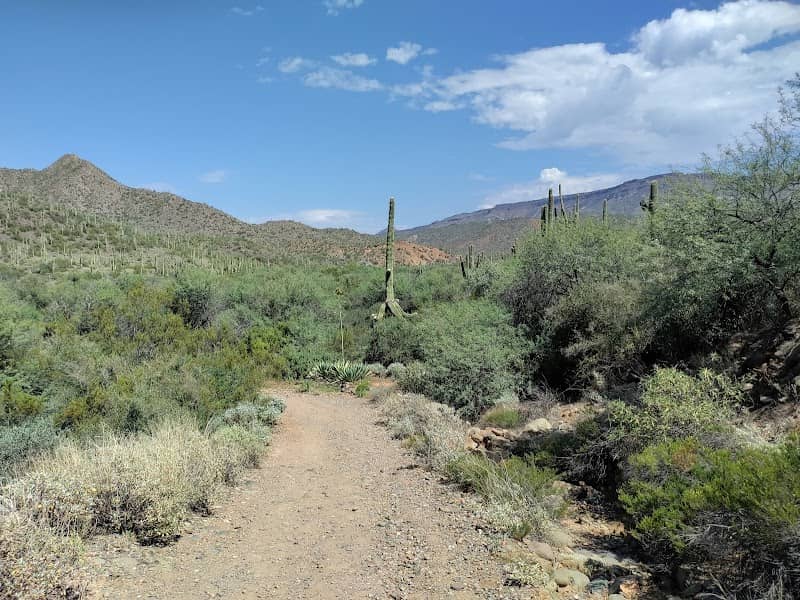 Spur Cross Ranch Conservation - Image 1