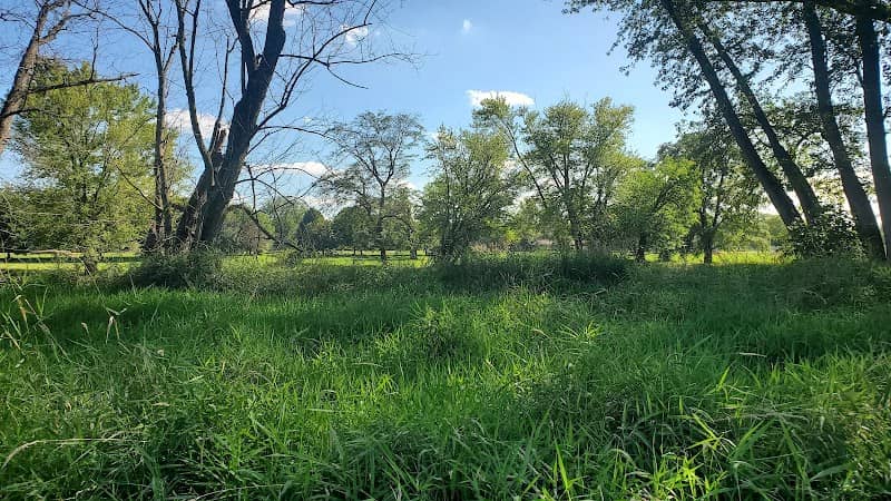 Pecatonica Wetlands Forest Preserve (North Entrance) - Image 2