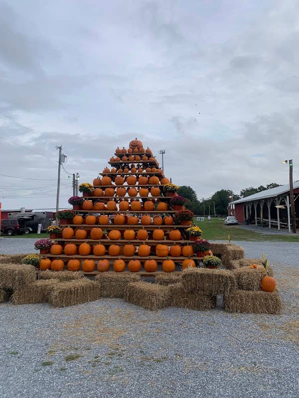 South Jersey Pumpkin Show - Image 1