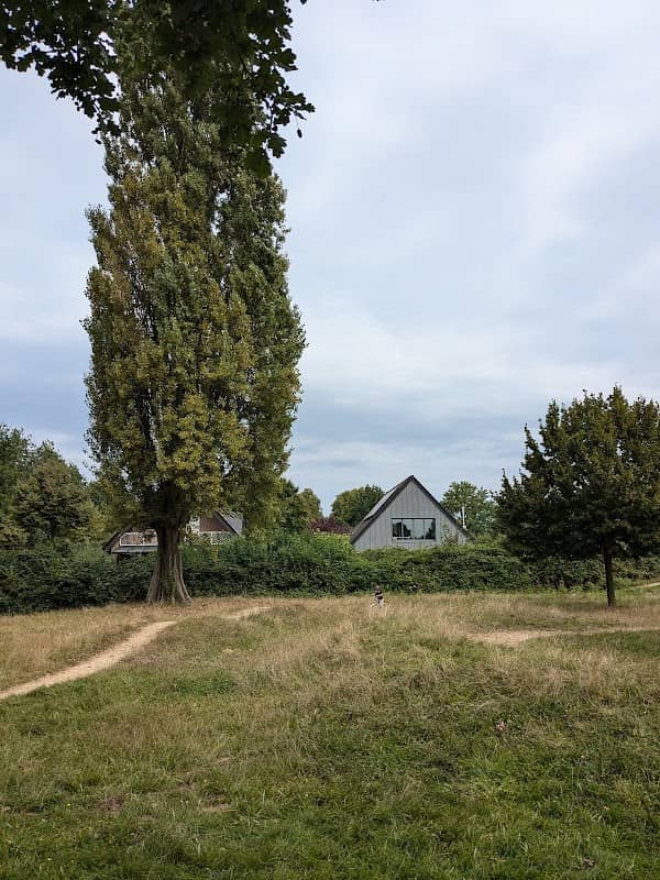 Pumptrack - Image 1
